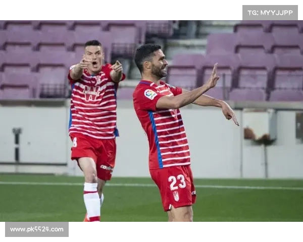 西甲首例NFT门票侵权案件开庭审理 引发体育行业版权争议